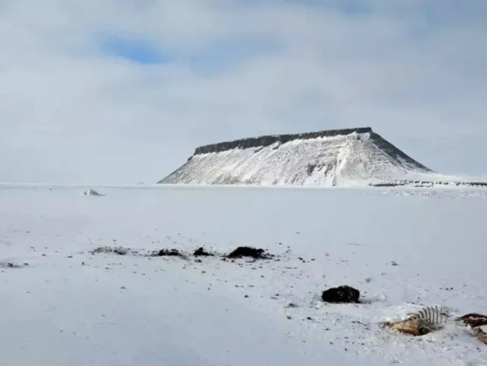 NASA’s Rediscovery of Camp Century