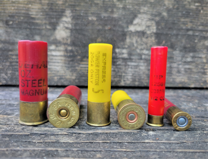 .410 Shotshell