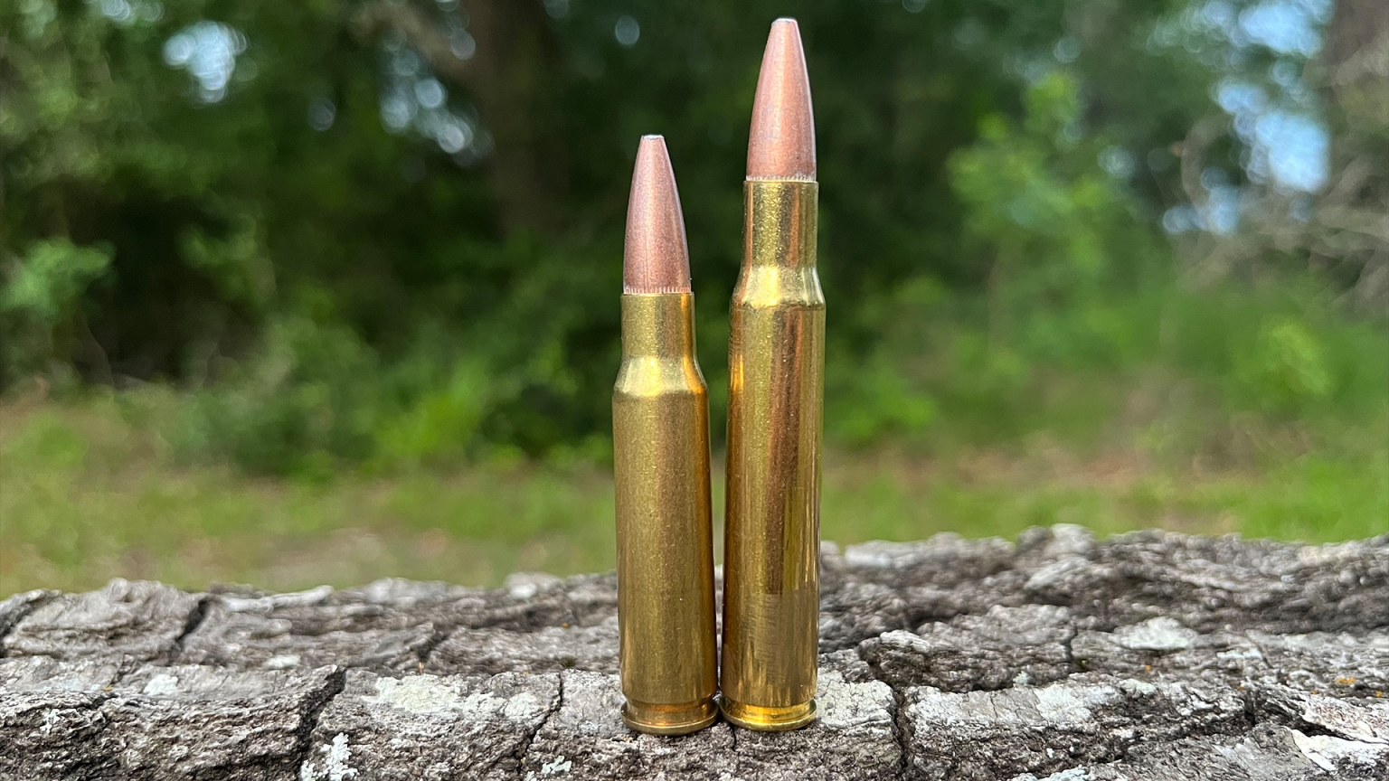 Top 9 Precision Rifle Calibers for Pinpoint Accuracy | Modern ...