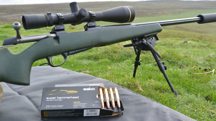 .308 Winchester