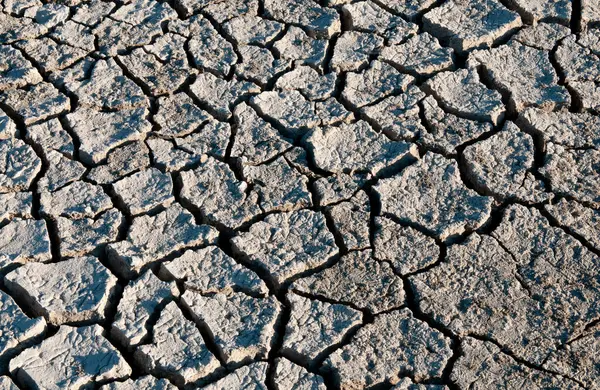 image_2026-01-01_122348229