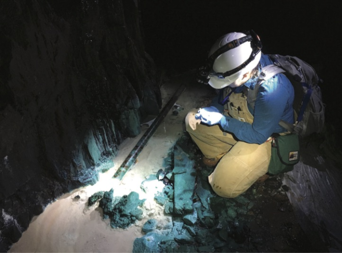 image_2026-02-18_102240825