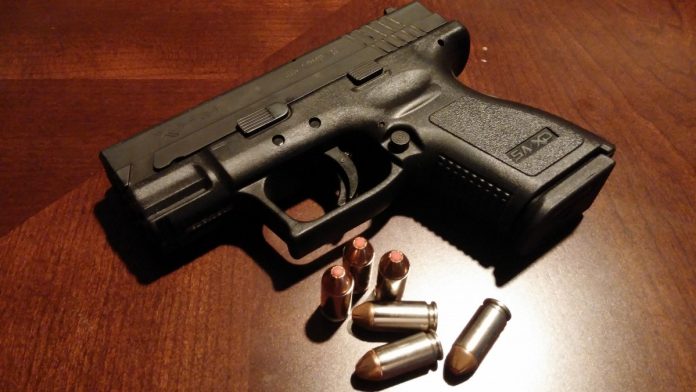 handgun_pistol_firearms_gun_weapons_concealed_weapon_arms-999339