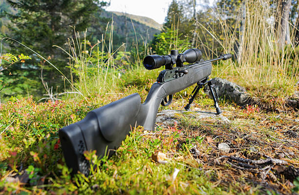 image_2026-03-03_100143773